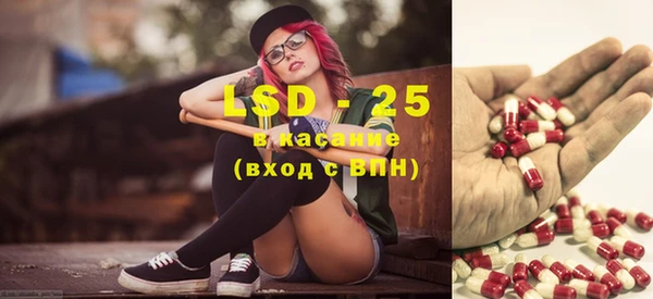 ГАЛЛЮЦИНОГЕННЫЕ ГРИБЫ Нея