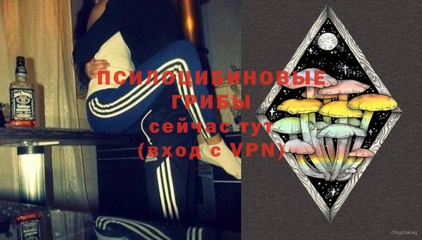 ГАЛЛЮЦИНОГЕННЫЕ ГРИБЫ Нефтекумск