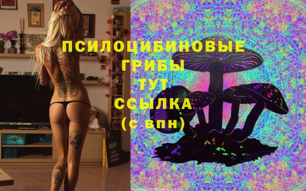 ECSTASY Новодвинск