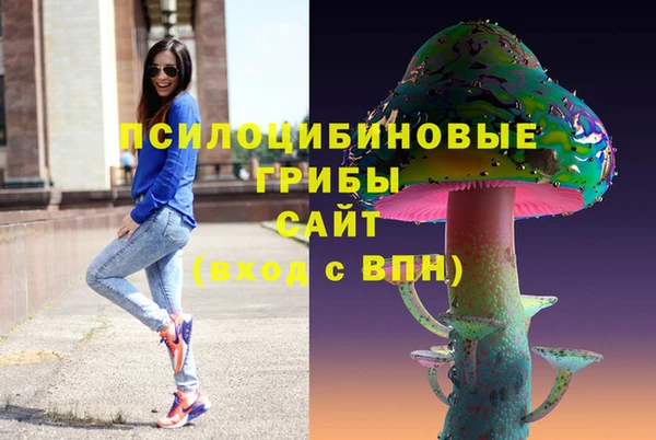 ГАЛЛЮЦИНОГЕННЫЕ ГРИБЫ Нея