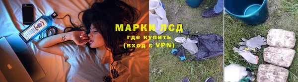 ГАЛЛЮЦИНОГЕННЫЕ ГРИБЫ Нефтекумск