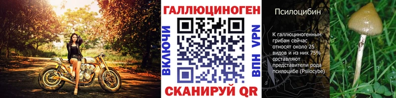 Галлюциногенные грибы ЛСД  Купить где  Томари 